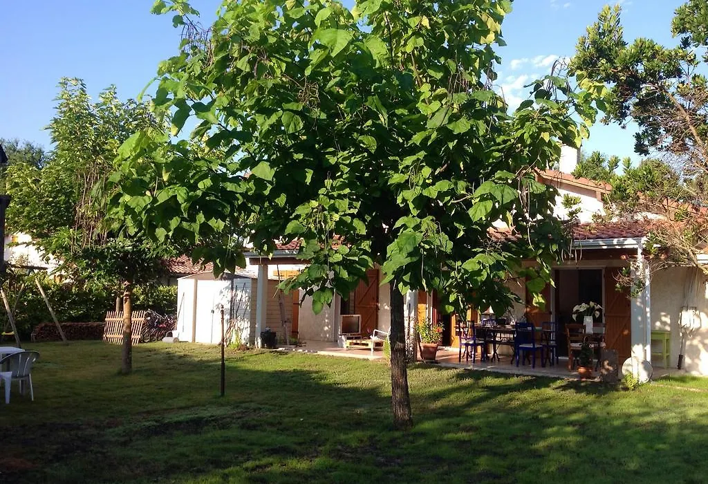 Les Arums de Sanguinet-1